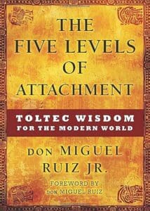 Understanding Attachment Through Books