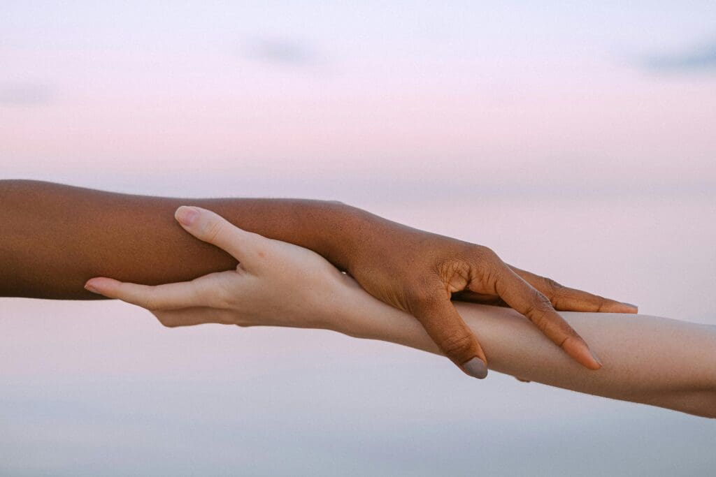 Understanding Attachment Through Books